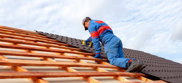 Best Roof Maintenance and Cleaning  in South Holland, IL